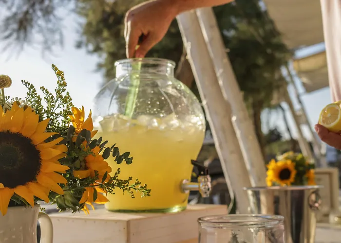 アパート Santana Agia Anna (Naxos)